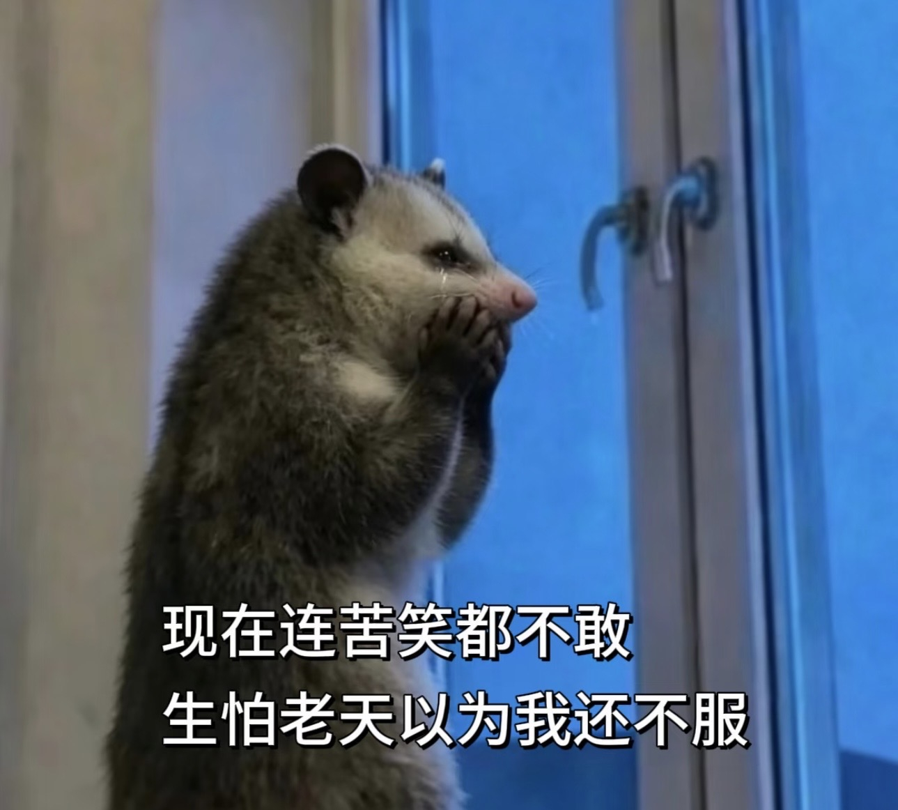 上班真的很有新鲜感每天都有新的打击 