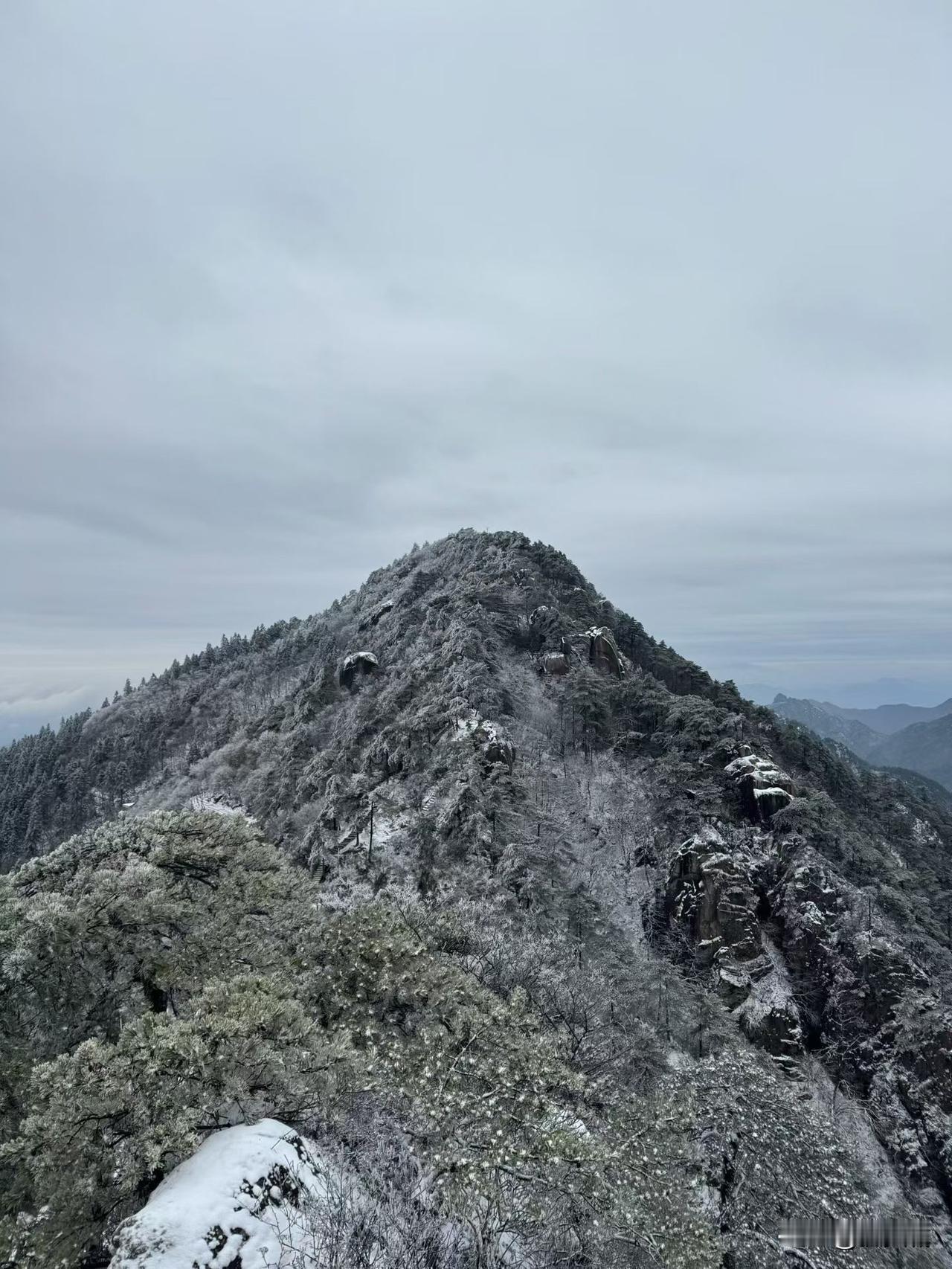新的一年只想头条伴我左右，伴我一路同行，在头条还有很多志同道合的条友，希望头条能