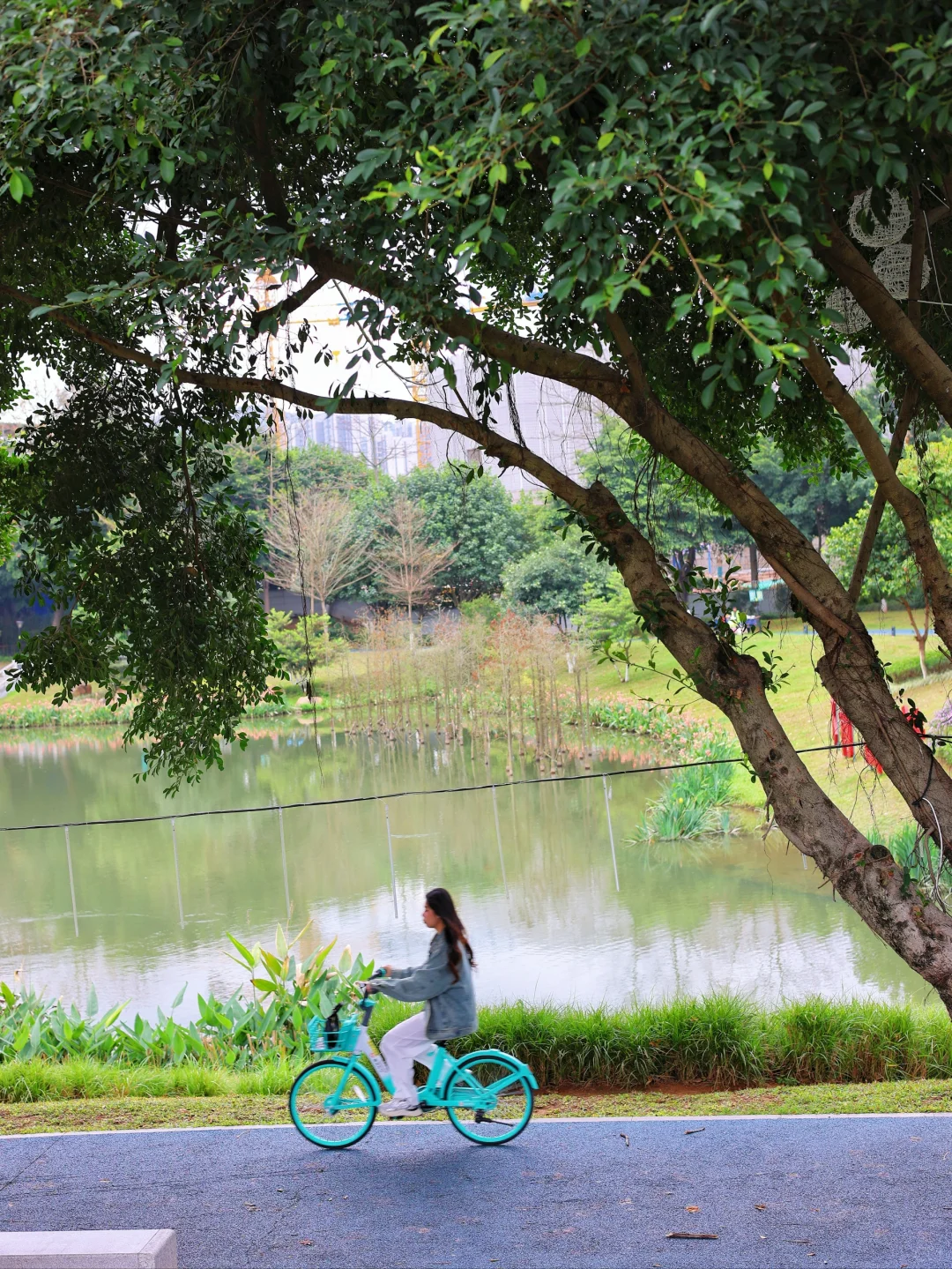 和大自然那些事儿 我拍到的治愈画面
