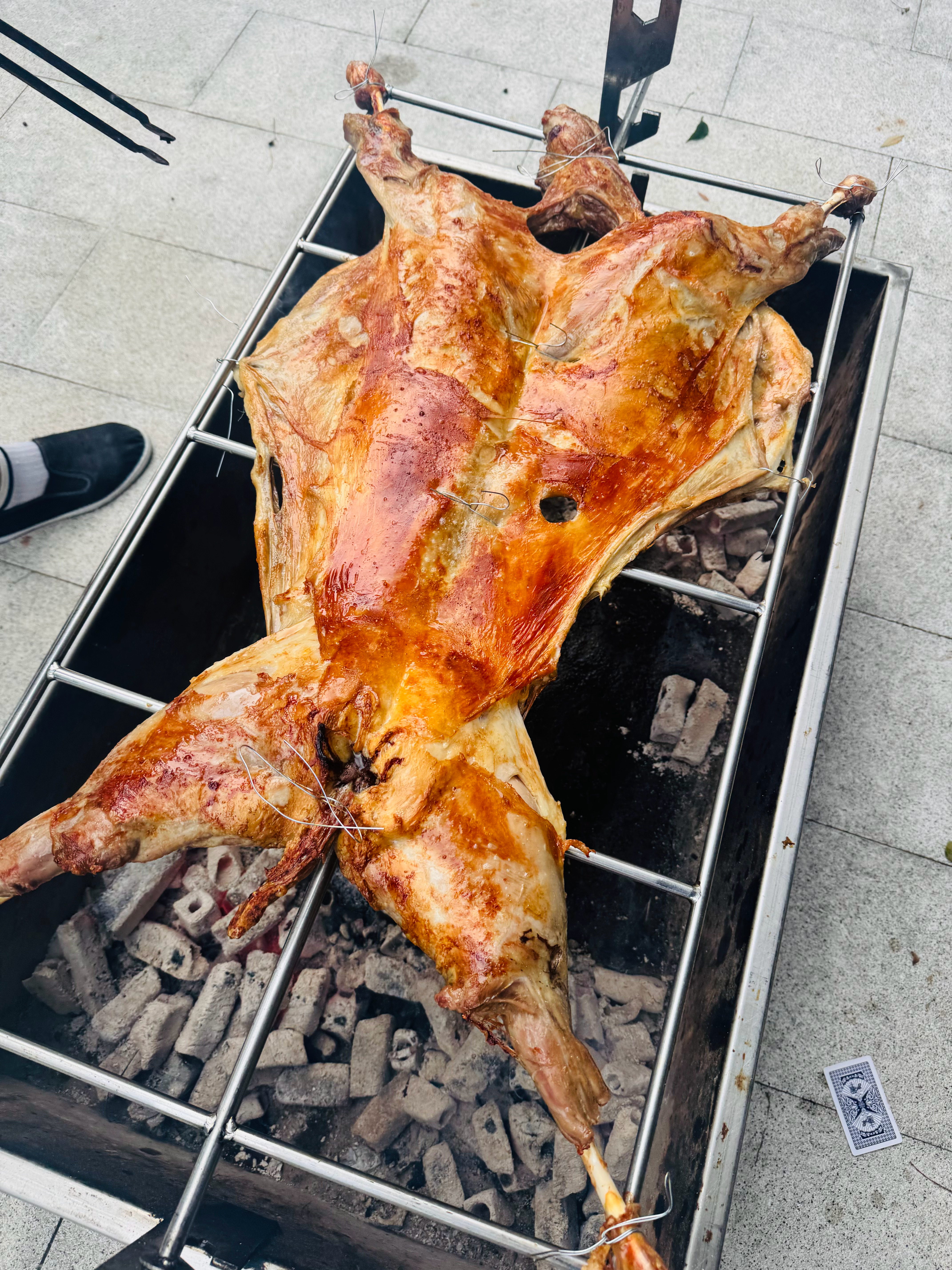 不吃羊肉的路过…… ​​​