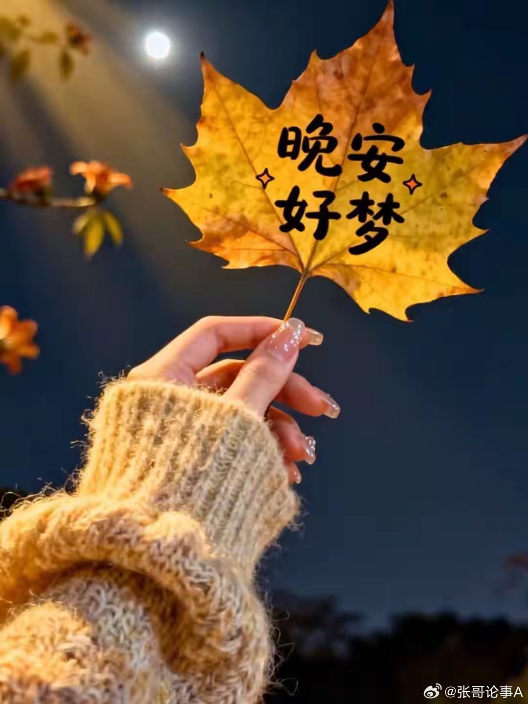 周一复盘圆满收尾，暂别红绿K线与行情逻辑。卸下盯盘的紧绷，独享片刻宁静夜色，清空