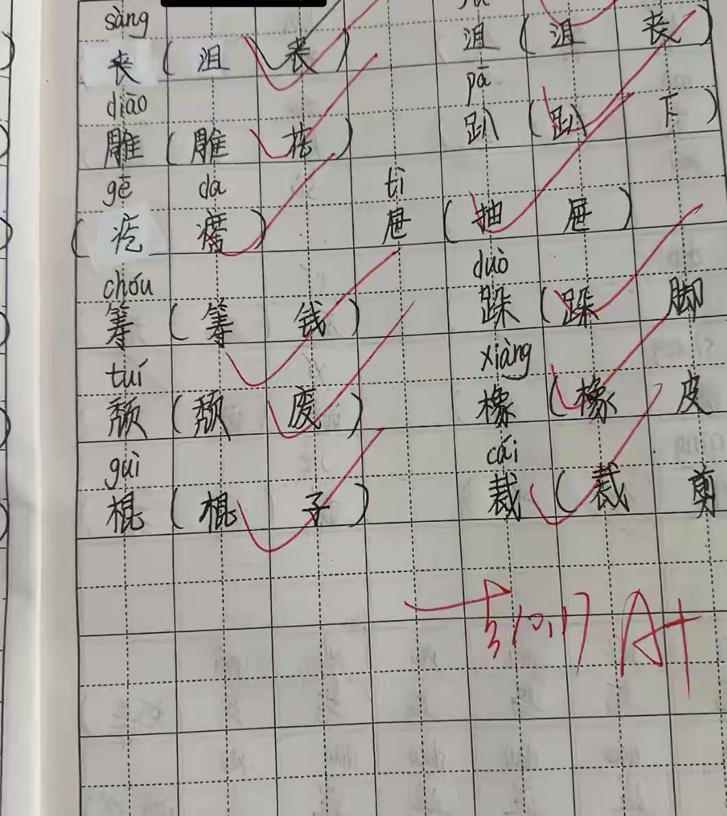 湖南11岁女孩去世，头天还要了零花钱，妈妈痛惜没有陪伴好

那五块钱还压在铅笔盒