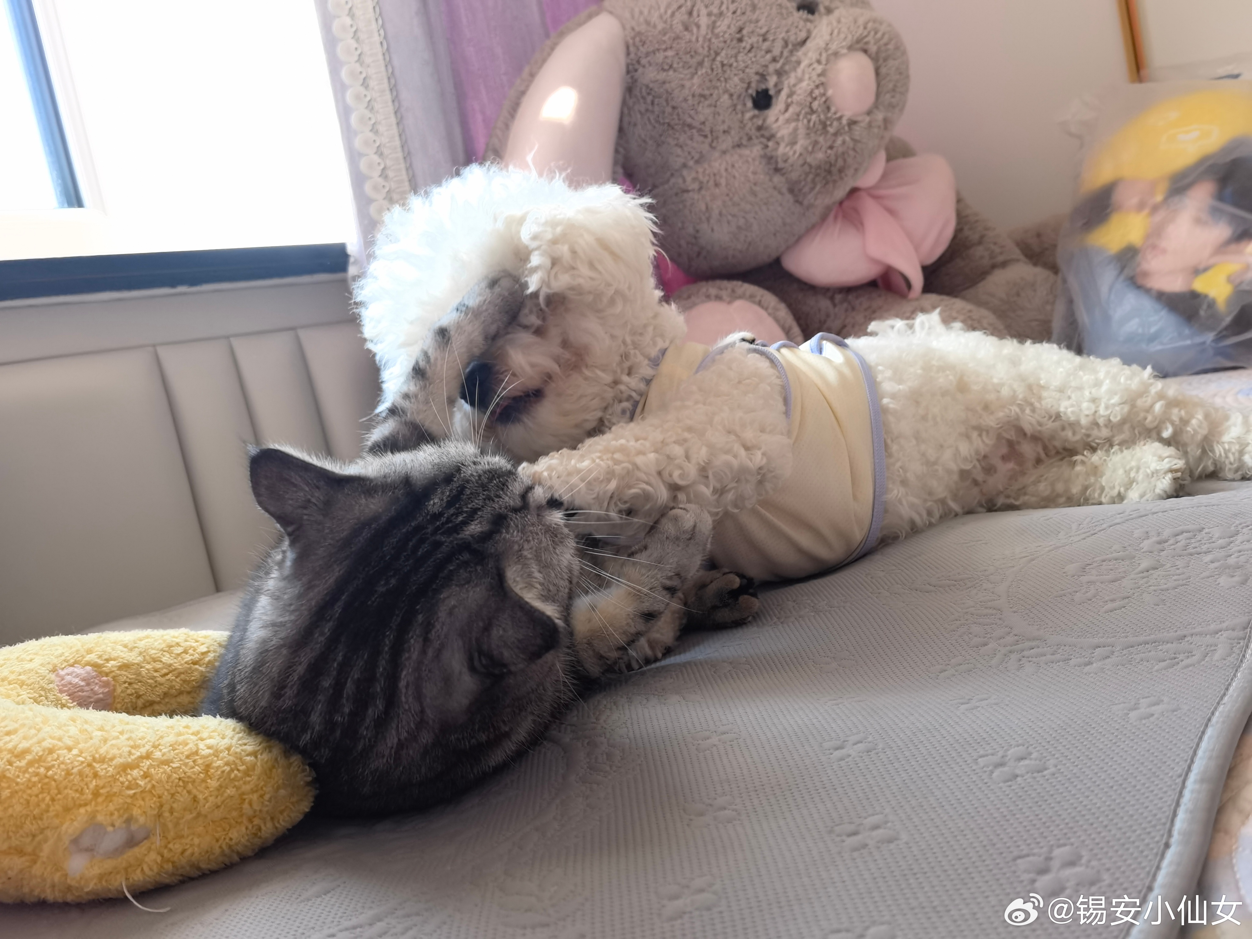 思念如潮水涌来，看着监控，情绪在夜晚决堤。 ​​​