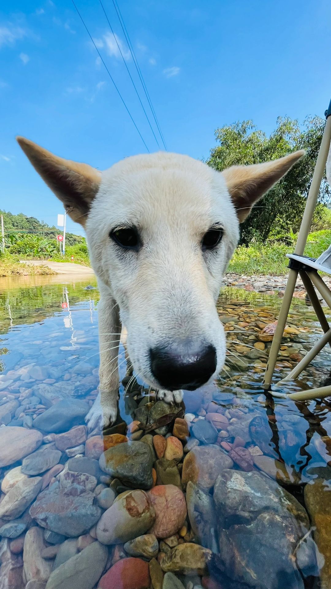 清远大山里的玻璃水
