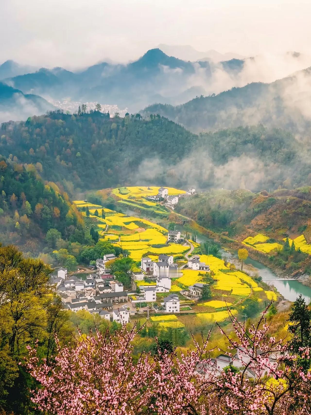 昨天有同行问我，今年生意咋样。我答道，今年生意还能怎样？如今大家手头都紧，并非家