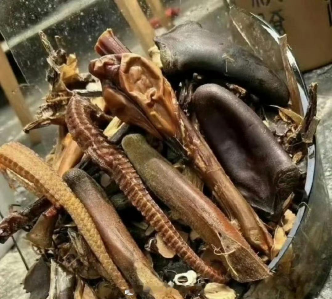 我爸泡的白酒被我打碎了，有人知道这些泡酒的原材料都是些啥吗？看起来有点恐怖 