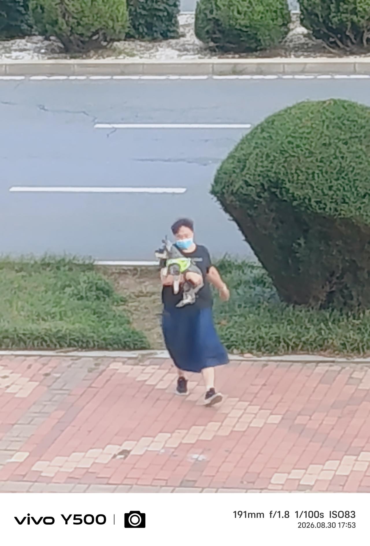 一不小心成了狗亲家，
张阿姨没看上李阿姨家的狗女儿，
李阿姨没看上张阿姨家的狗儿