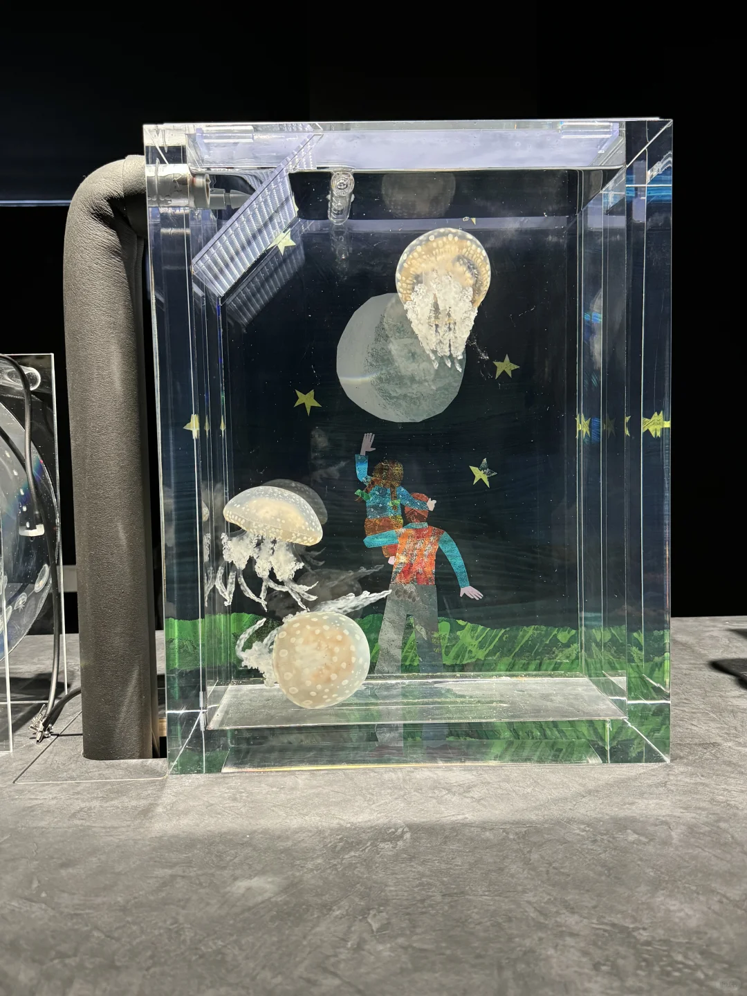 日本｜艺术馆还是水族馆？！🐠超小众但超宝藏✨