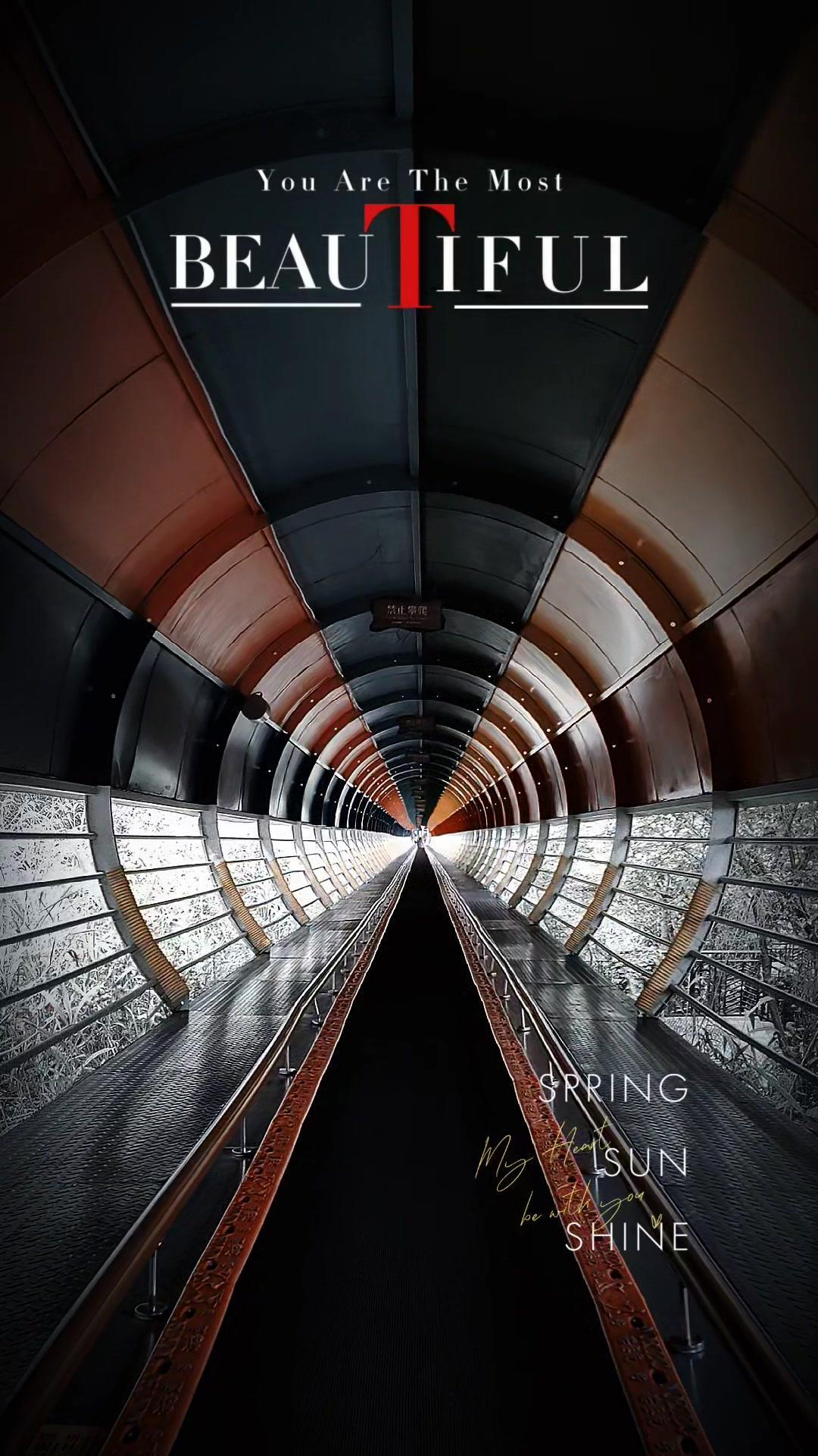 人生就像这条滑道，有明亮的穹顶，也有幽暗的隧道。

有时你需要自己掌控刹车，稳稳