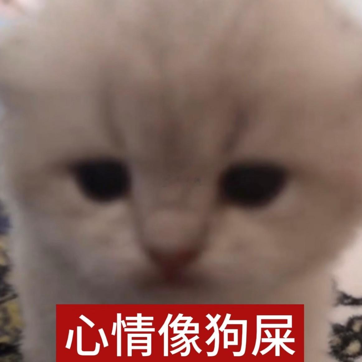 …… 