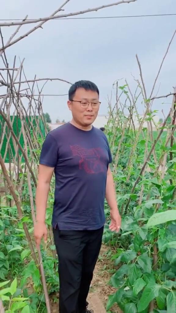 这是我妈种的菜园子，这是豆角、茄子、甜瓜、大葱、芝麻，这是吊瓜，够我们一夏天吃的
