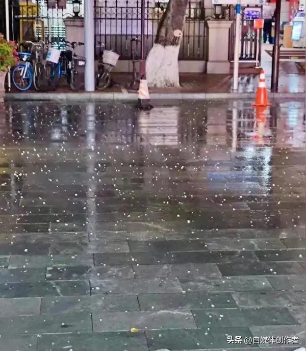 突发！广州中心区砸下手指大冰雹，多区三预警齐发，下班路千万当心
 
2026年3