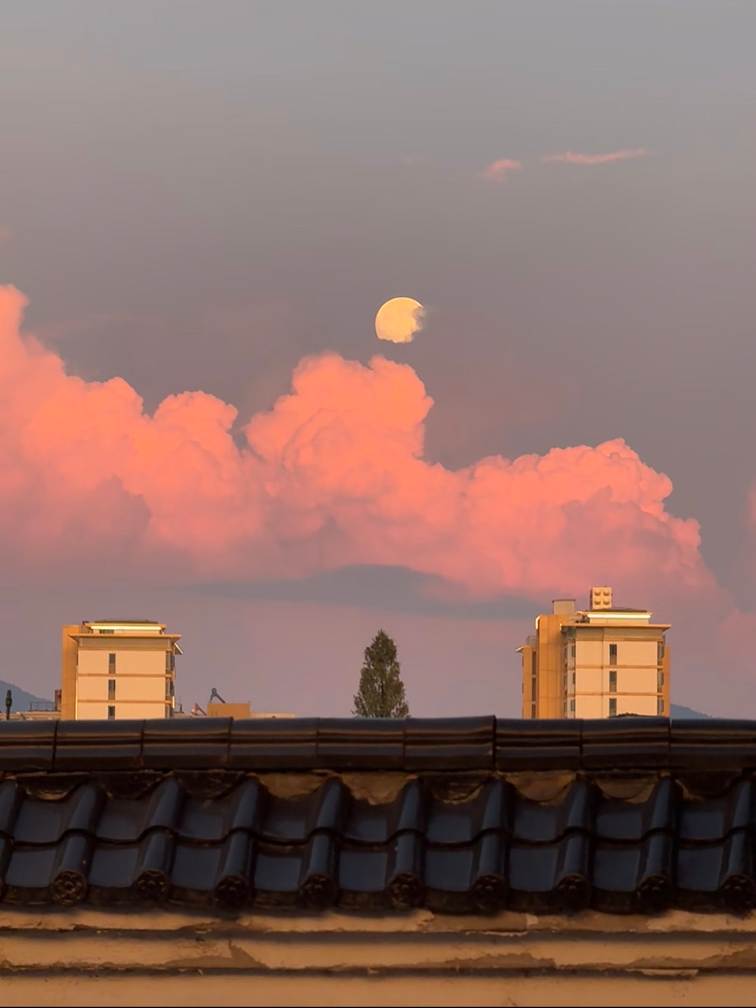 我为此刻驻足……🌇 ​​​