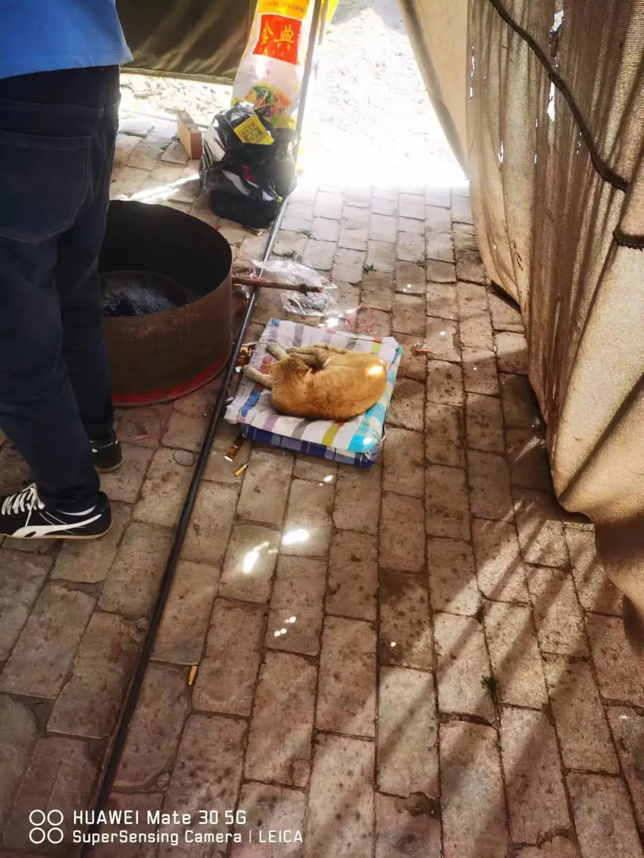 网友分享：朋友继父昨天突发脑溢血人走了，农村习俗，棺材放在院子里过完7天，才可以