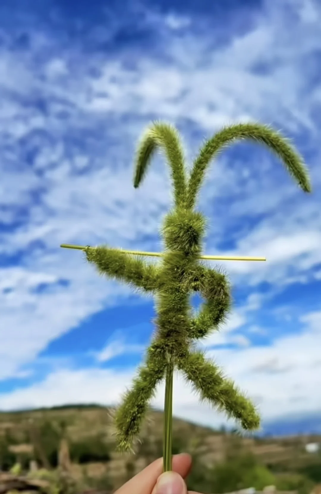 每当我走在街上，看到那些洋溢着青春活力的人时，都有着一种莫名的感动，尤...