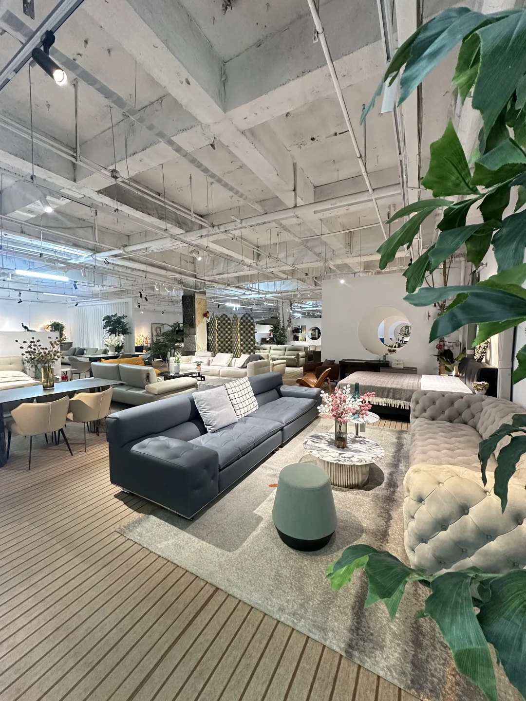 终于等到了…….他家年底大清仓！！！