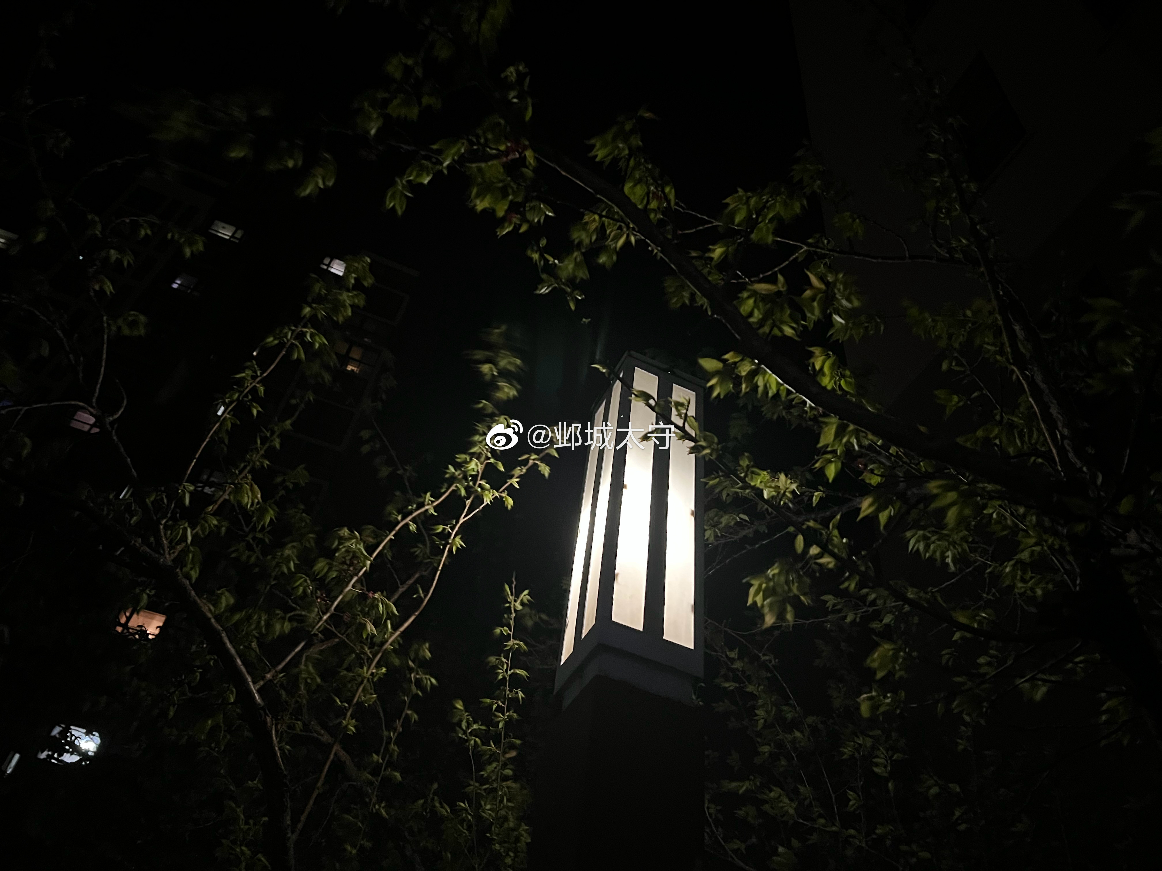 请保持心里的光，你不知道谁会借此走出黑暗。 ​​​