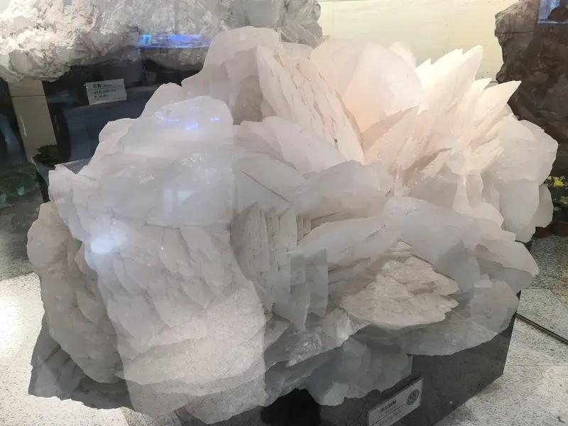 惊！河南多地现“行走的硫酸”，背后真相几何？

家人们，今天看到一则让人惊掉下巴
