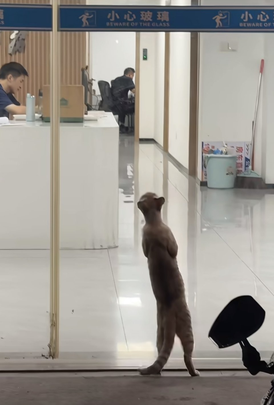 开门啊，有猫抢我罐罐 ​​​