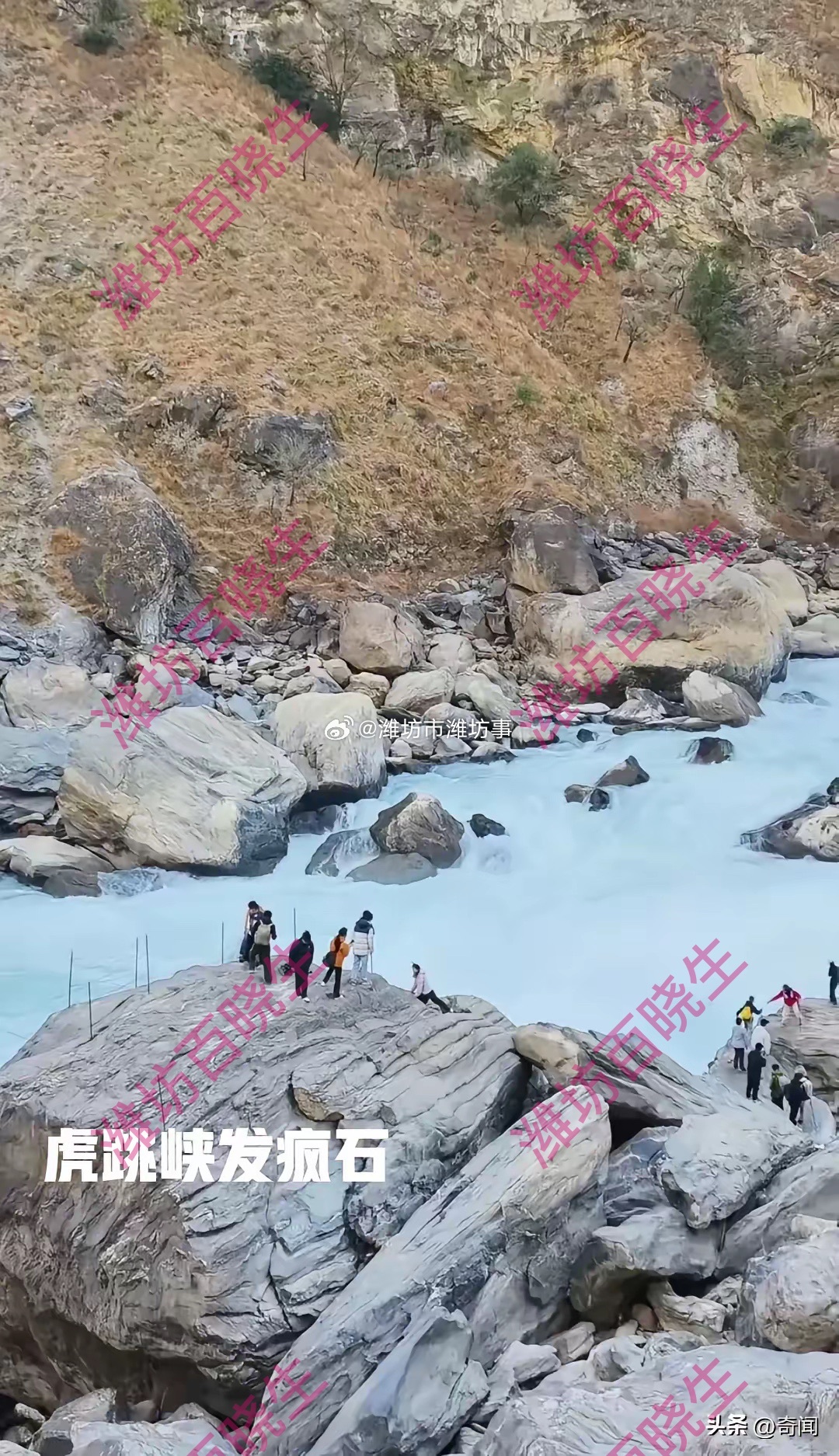 虎跳峡男游客疑因洗杯落水失联揪心！云南虎跳峡又出事了，2月25日下午，中虎跳峡的