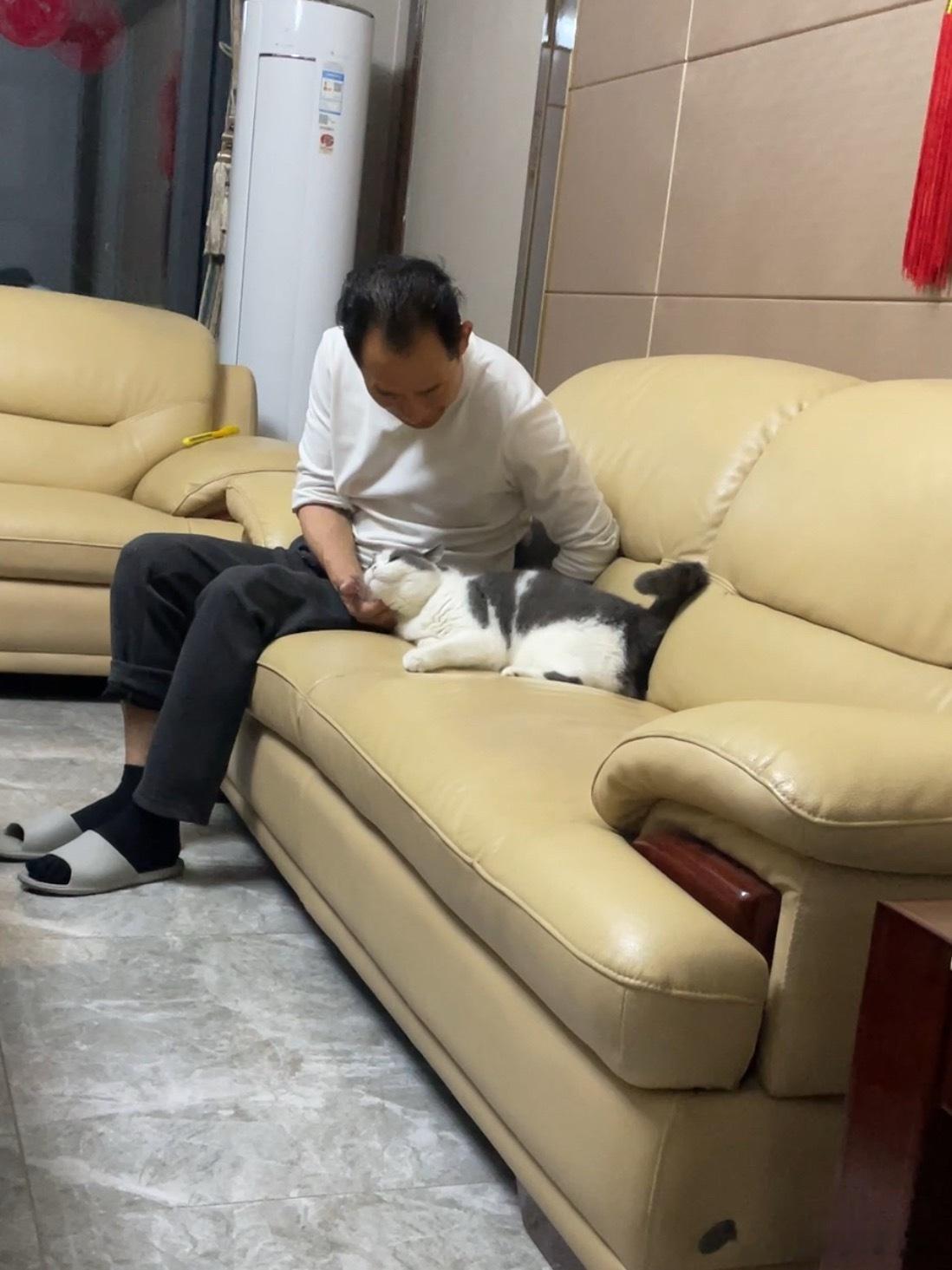 洋洋在姥爷面前就是又翘以巴又歪头的 不懂 不明白 不知道喜欢姥爷什么 主动趴到姥