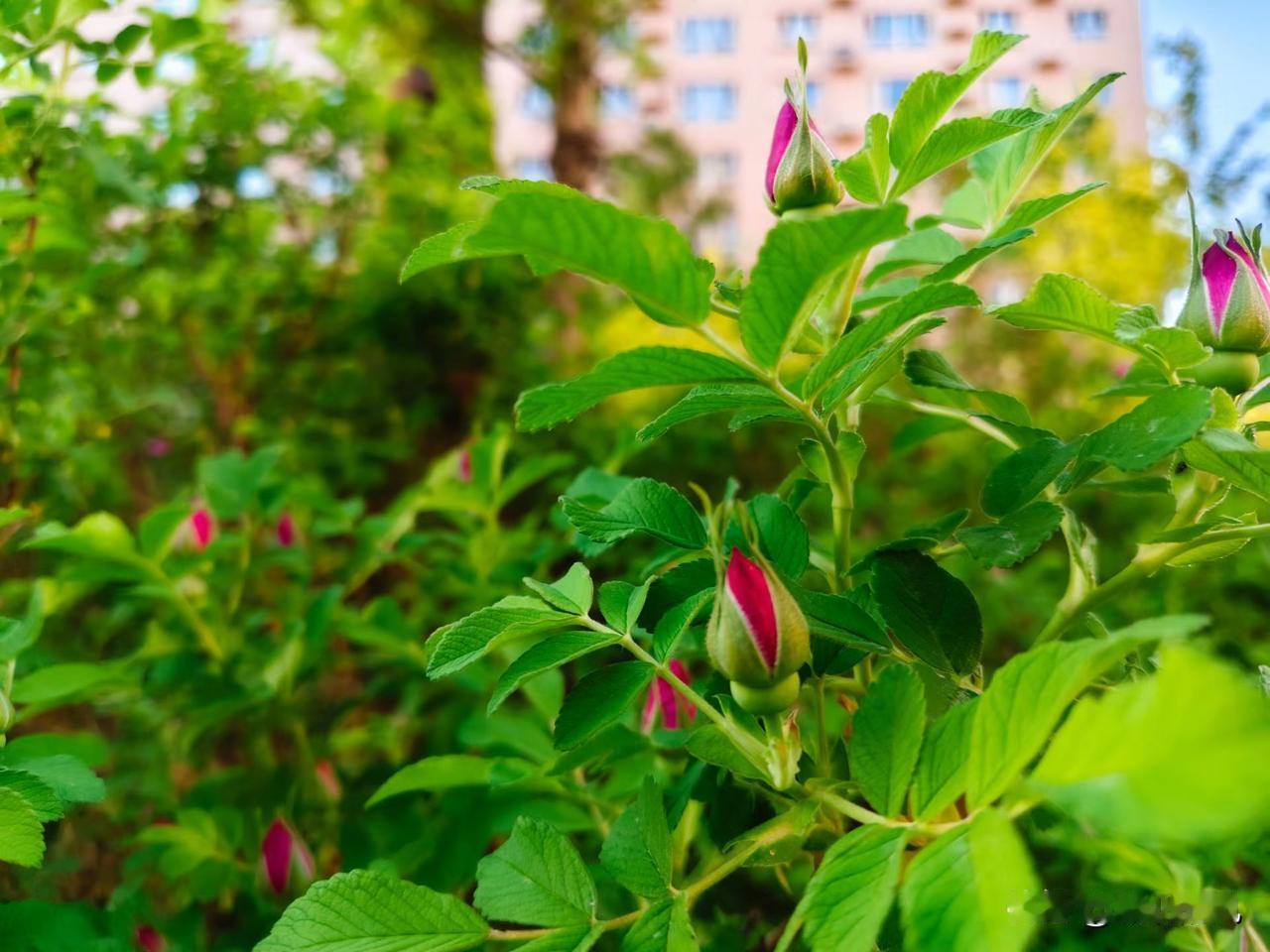 受伤了，躺在医院里，谁也没告诉，连公司里的人也没告诉，向领导请假，就说有事，昨天