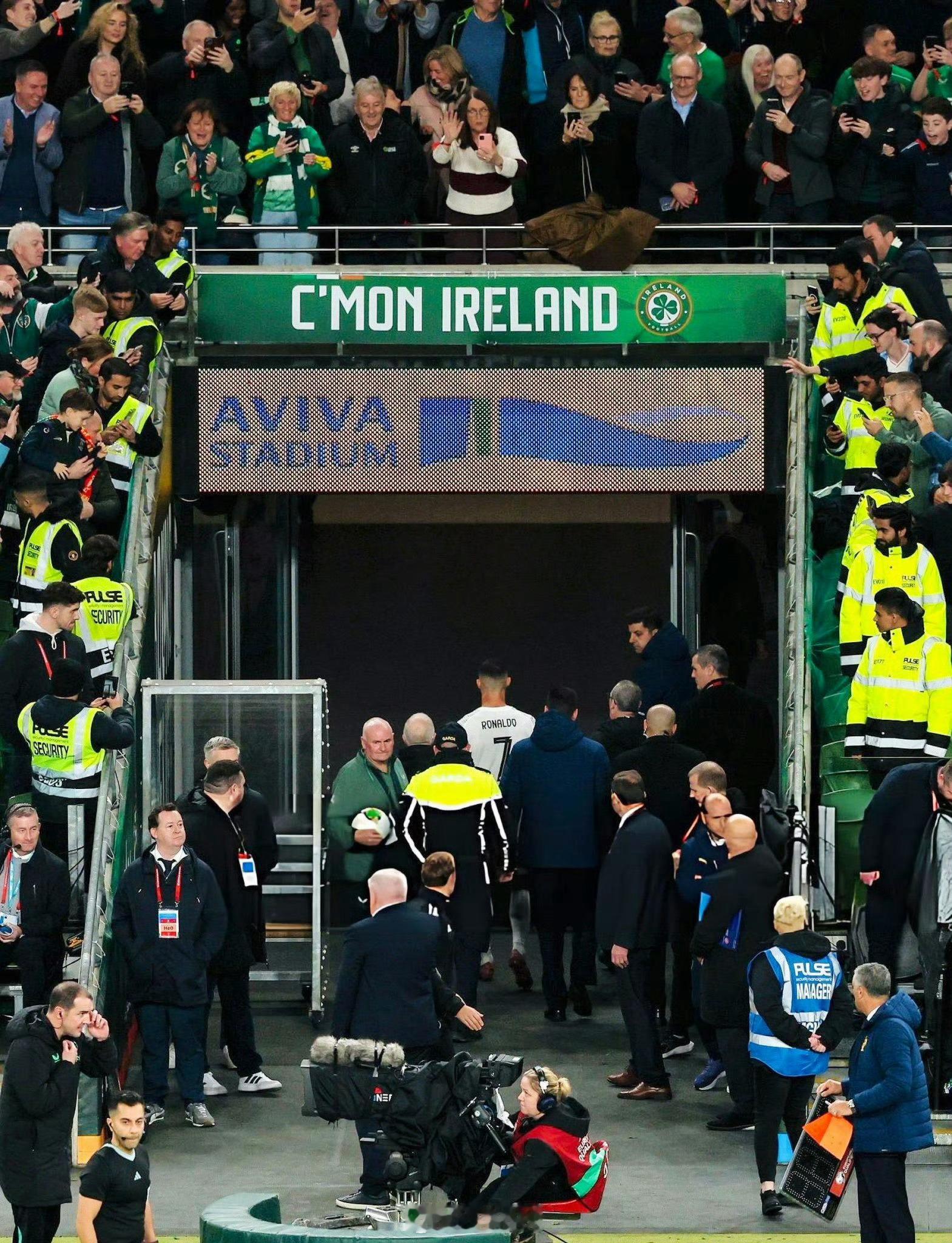 坏了，这真是葡萄牙最有希望的一年了