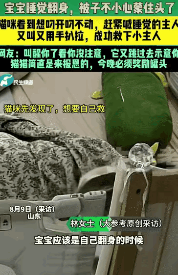 “万物皆有灵！”山东，一婴儿翻身时不慎被捂，熟睡的妈妈却浑然不觉。生死瞬间，家猫