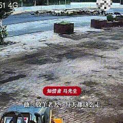 河北沧州，老农赶50多只羊群逆行冲上省道，28只被货车撞死，本可以避免的！这段省