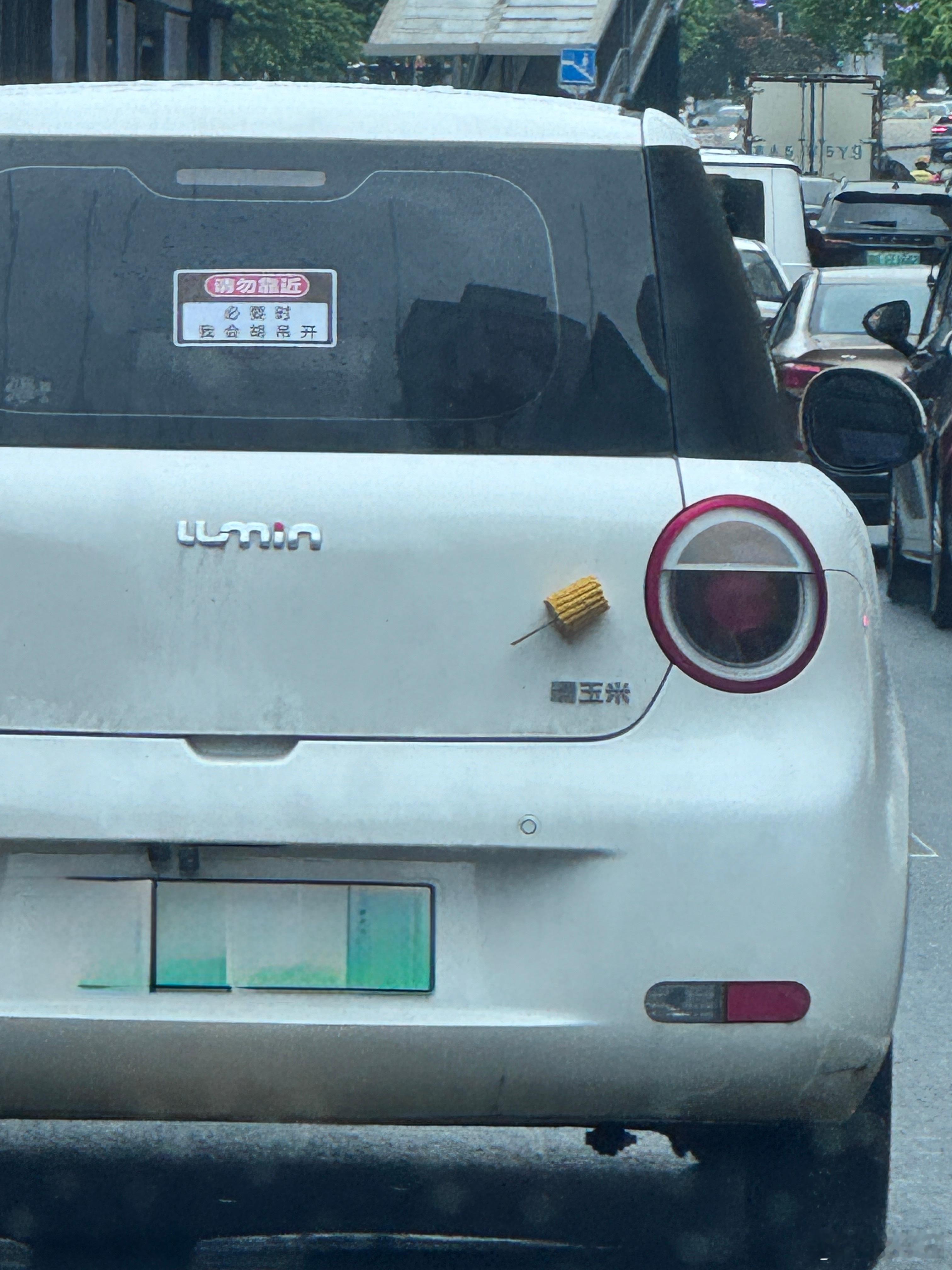 玉米车主，你的玉米掉了。新能源汽车 ​​​