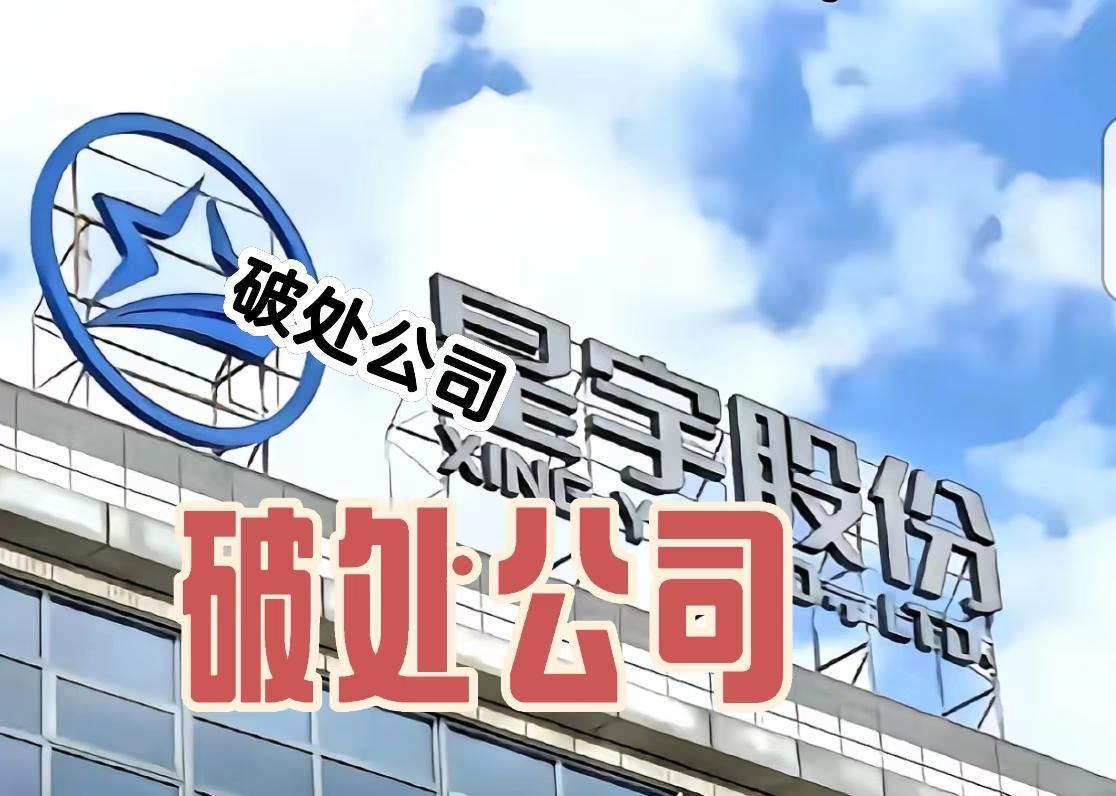 星宇股份，破处公司
一群大学生到了星宇股份，完成了他们的社会破处之旅。这家公司只