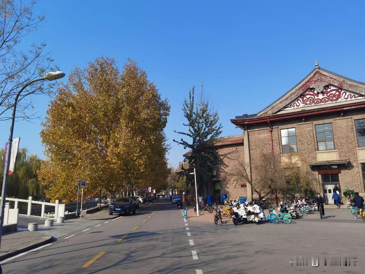 校园秋色（摄于南开大学八里台校区）