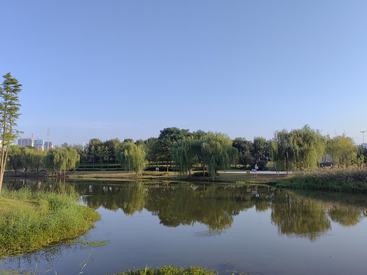 分享一张你最近随手拍的照片吧！