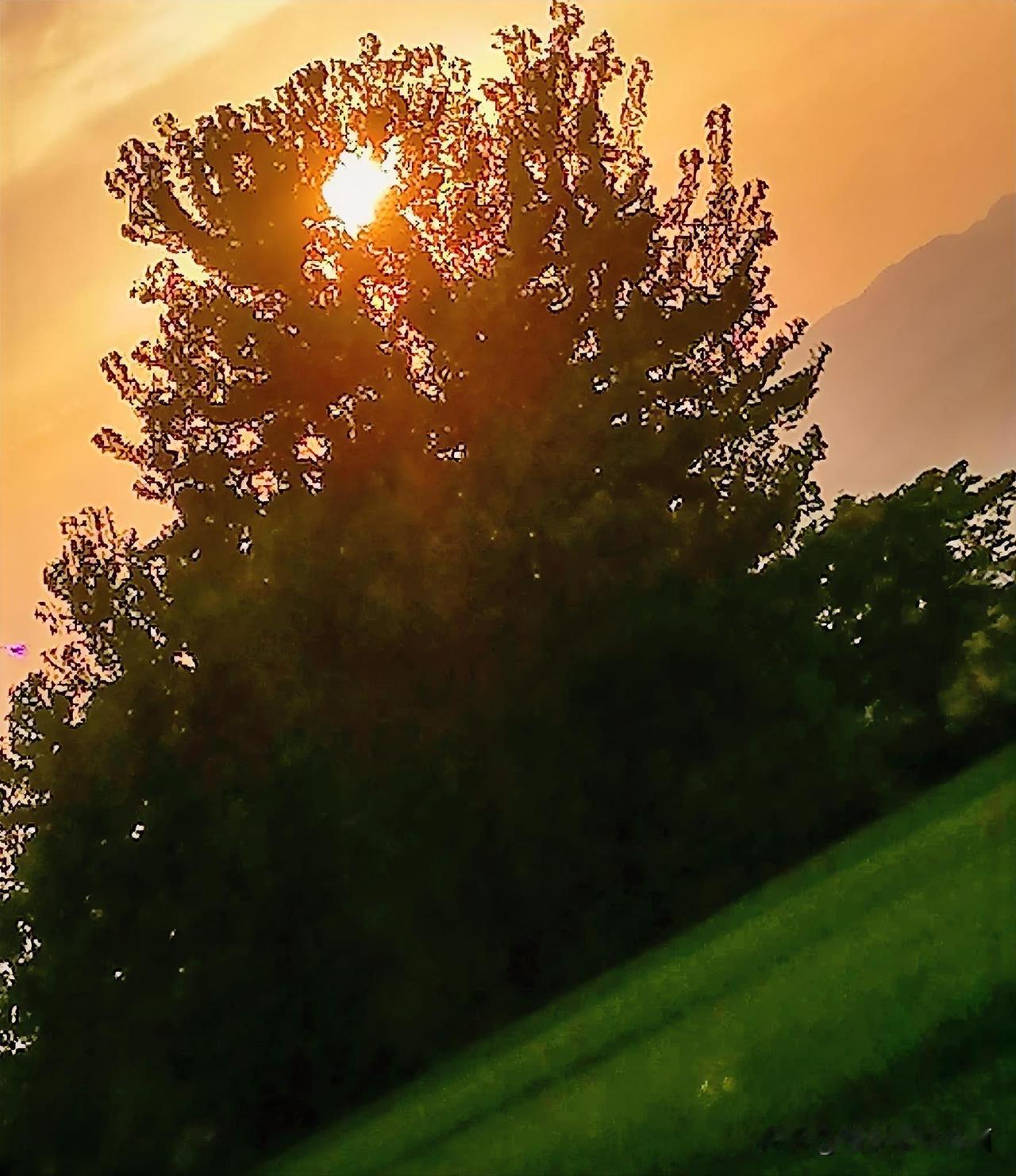 《夕阳之景（西安李林摄于汉中城固）》