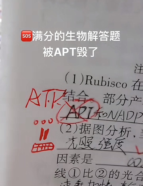 都怪朴彩英 ​​​