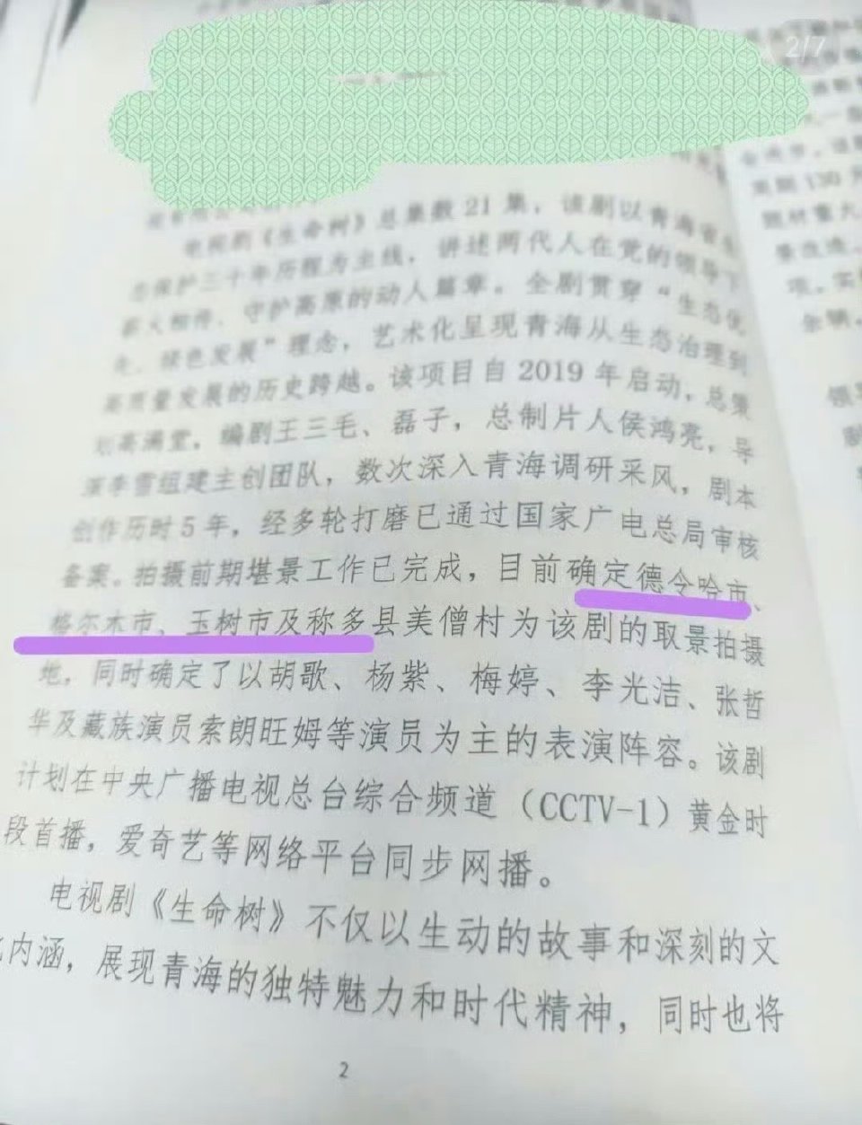 《生命树》主演阵容:胡歌 杨紫 梅婷 李光洁 张哲华，并且该剧目标上星央视，爱奇
