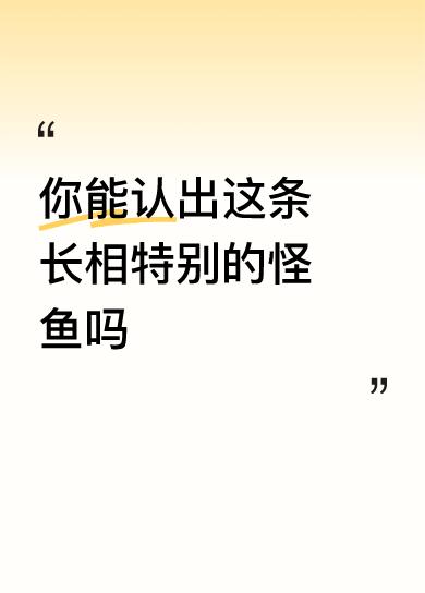 你能认出这条长相特别的怪鱼吗黑鱼，做鱼片最好。毕竞生长的地方不干净，吃点鱼肉就可
