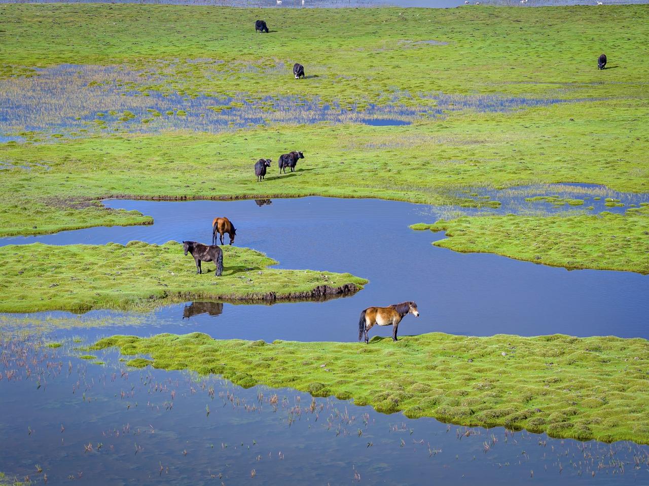 齐齐格果果摄影