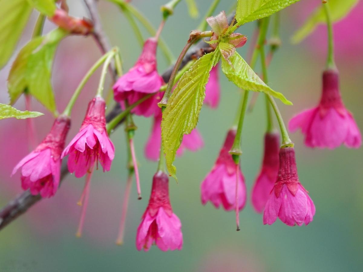 当你很累很累的时候，你应该闭上眼睛做深呼吸，告诉自己你应该坚持得住，不要这么轻易
