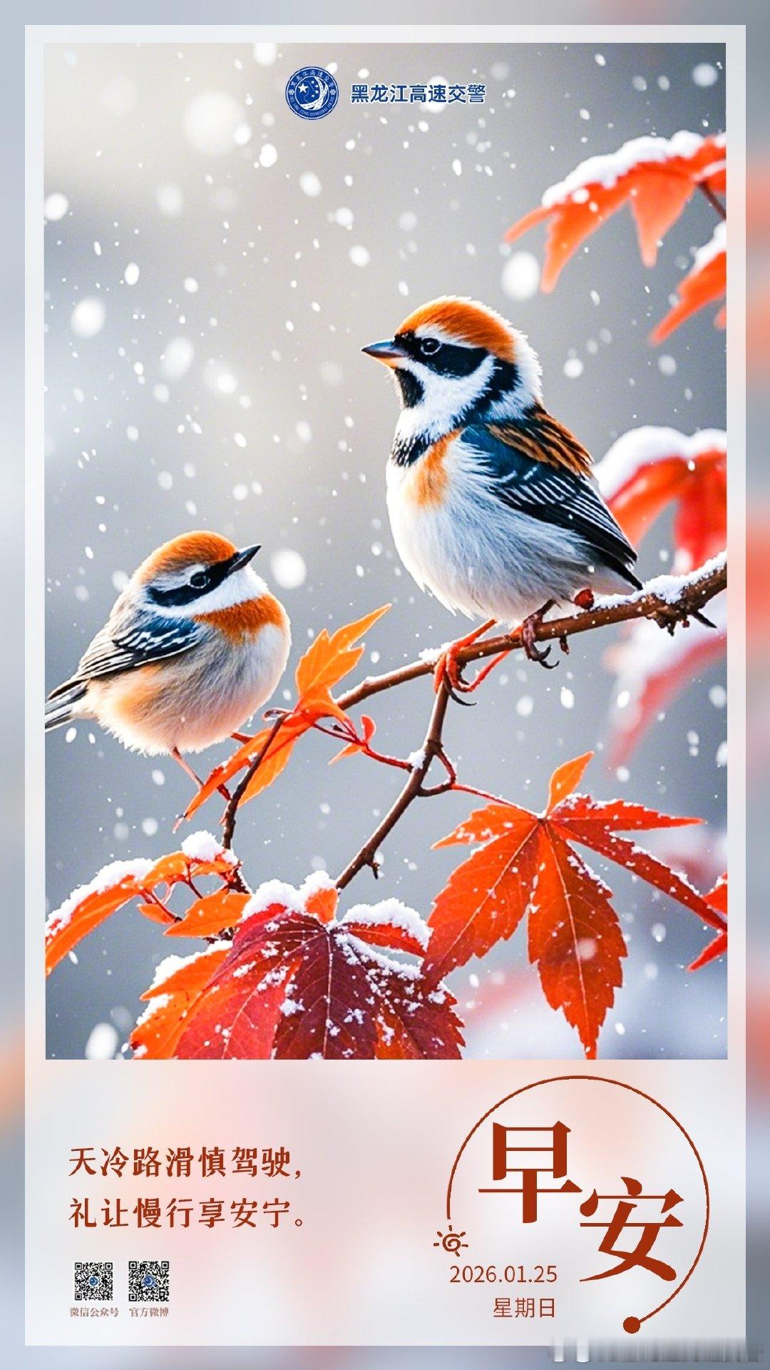 早安 天冷路滑慎驾驶，礼让慢行享安宁。早安早安高小黑 （