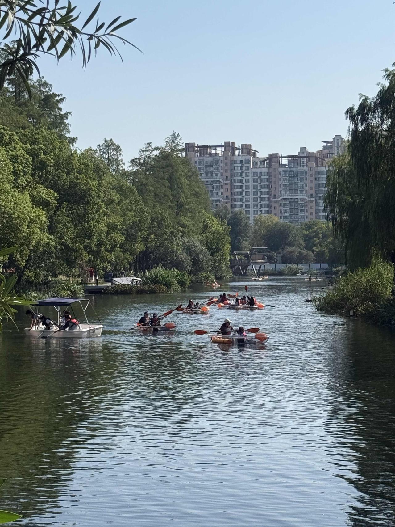 天气转凉，晚饭后散步改成了下午。

等妈妈午睡起身，就一起去长风公园走走坐坐。