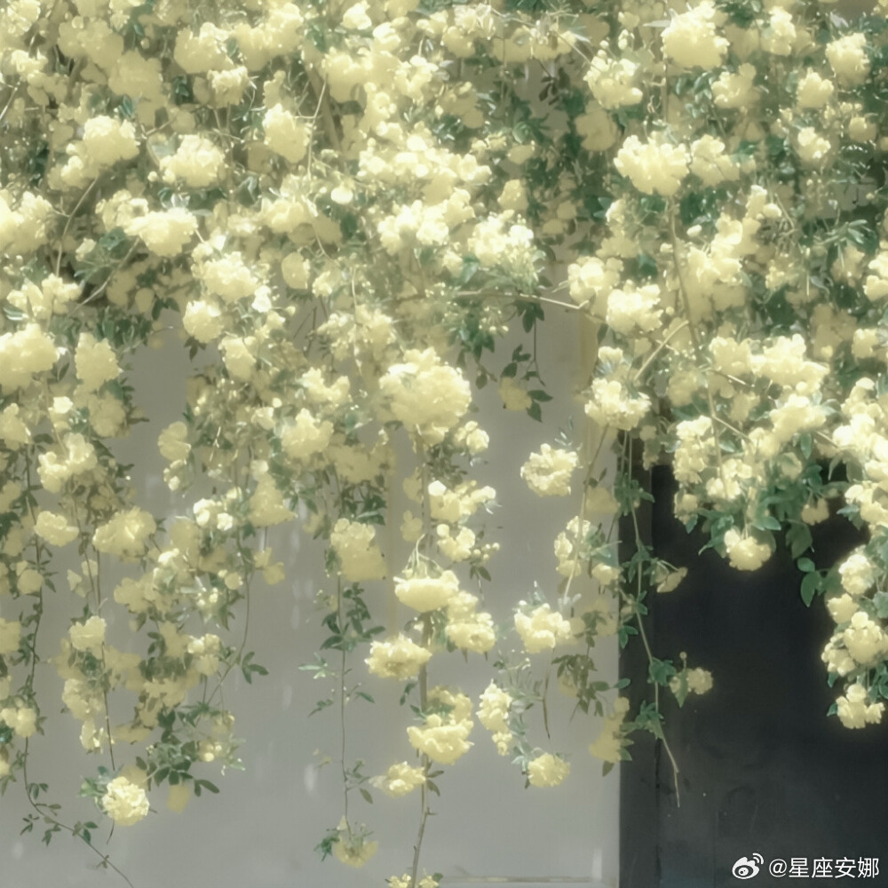 射手座向往无拘无束的生活，讨厌压抑捆绑的关系。可以热烈奔赴喜欢的人，但不会为任何