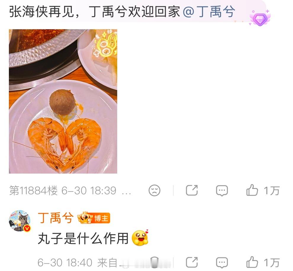 丁禹兮的一些回复，好真诚的禹兮宝宝啊🥹只有如此真诚且热烈的人才会越来越好！丁禹