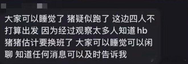 李楷灿 仁川机场猪疑似跑了抓猪