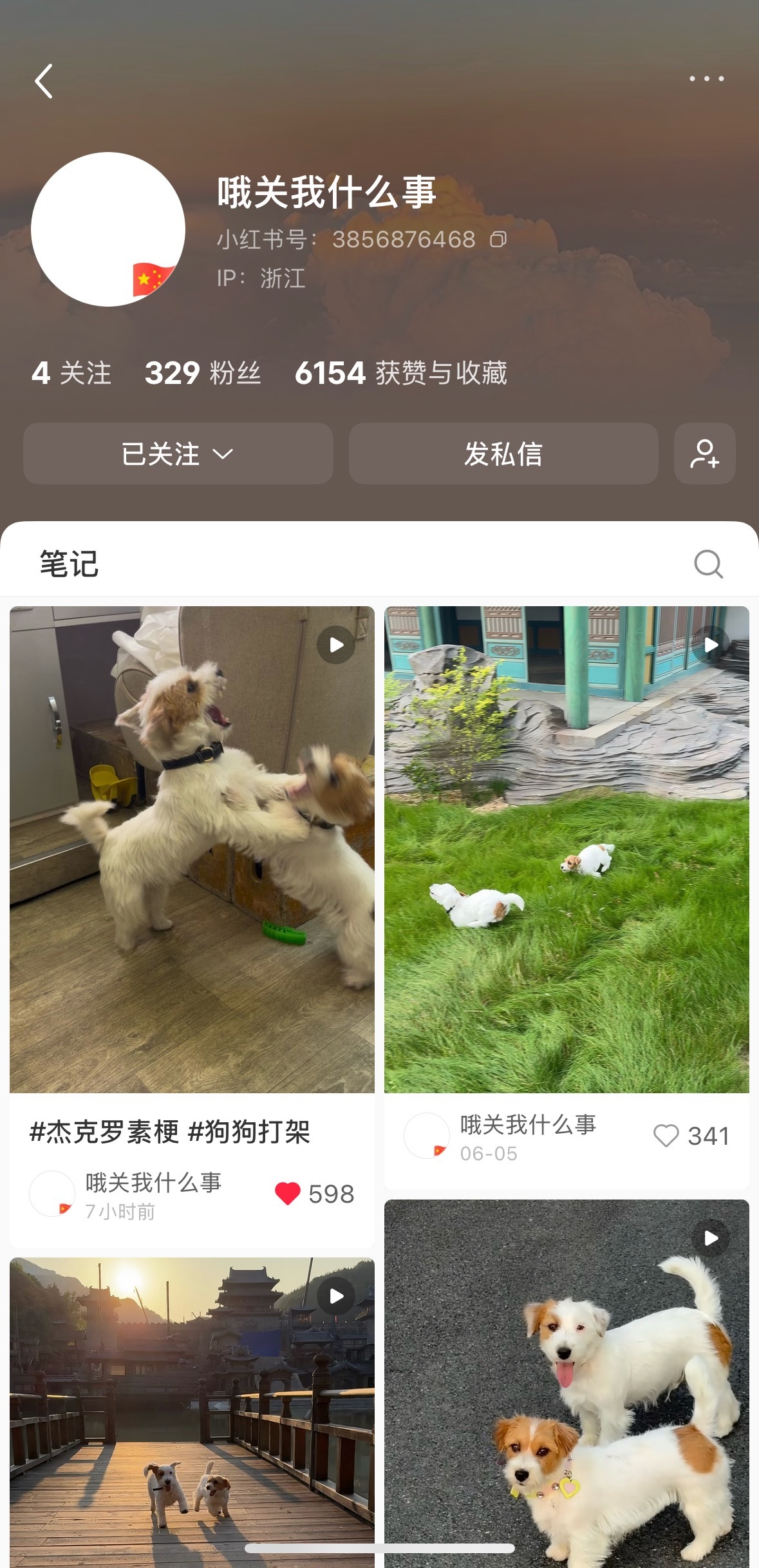 ？我说怎么这么眼熟 是巴豆和妹妹啊 