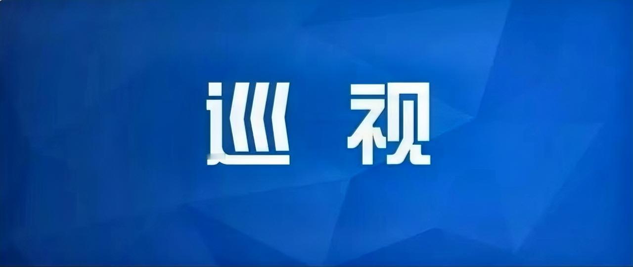 根据中国中铁党委巡视工作统一部署，截至4月8日，中国中铁党委2026年第一批巡视