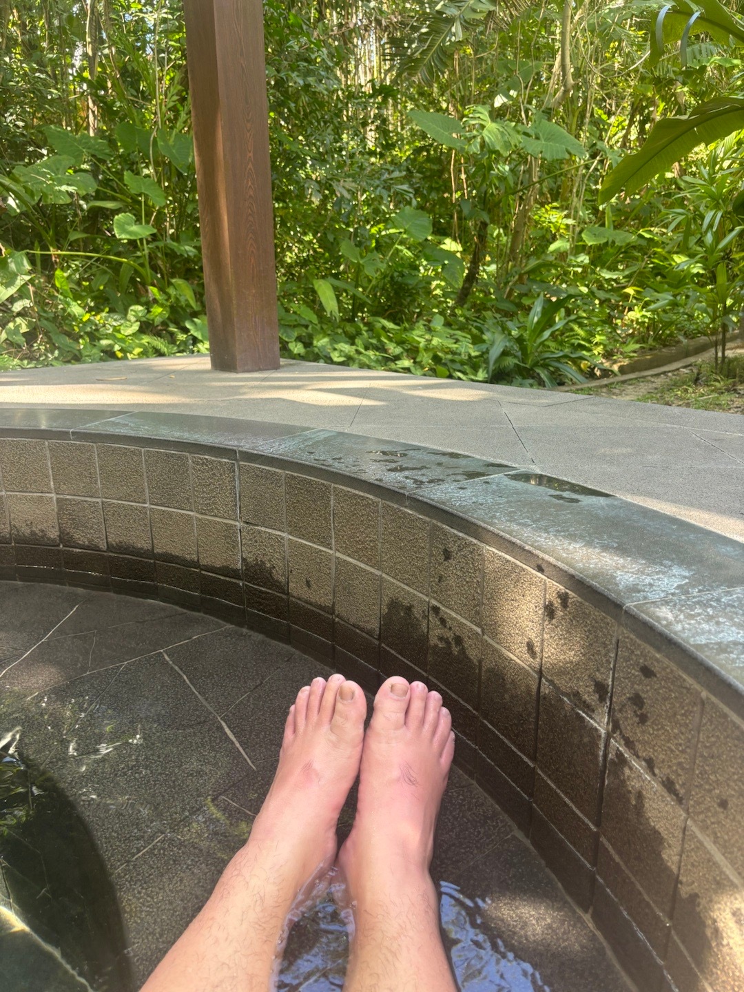 在热带雨林泡温泉 