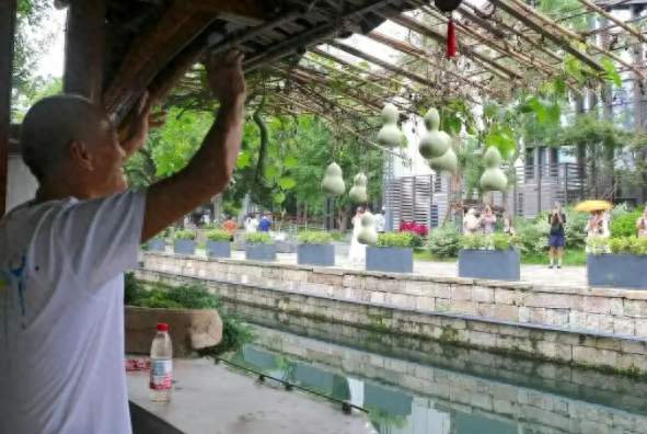 “葫芦娃爷爷”：我想静静