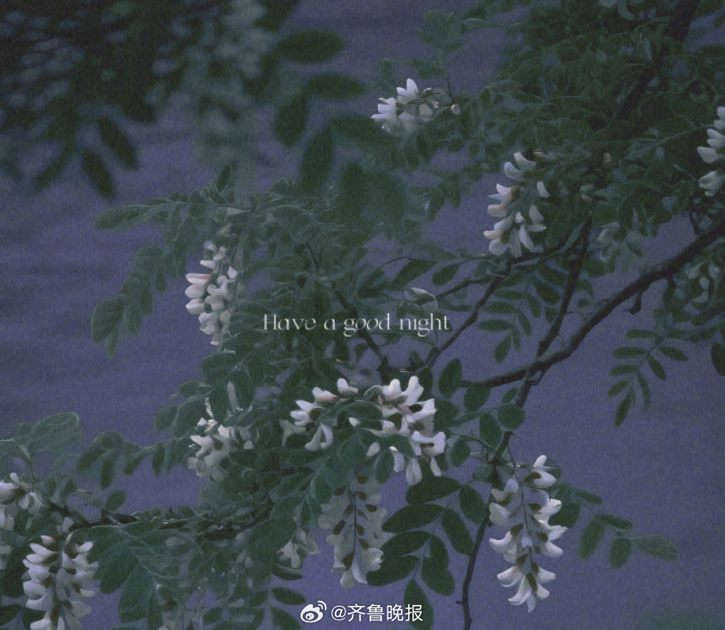 夜色正将喧嚣揉成柔软的静。#晚安#