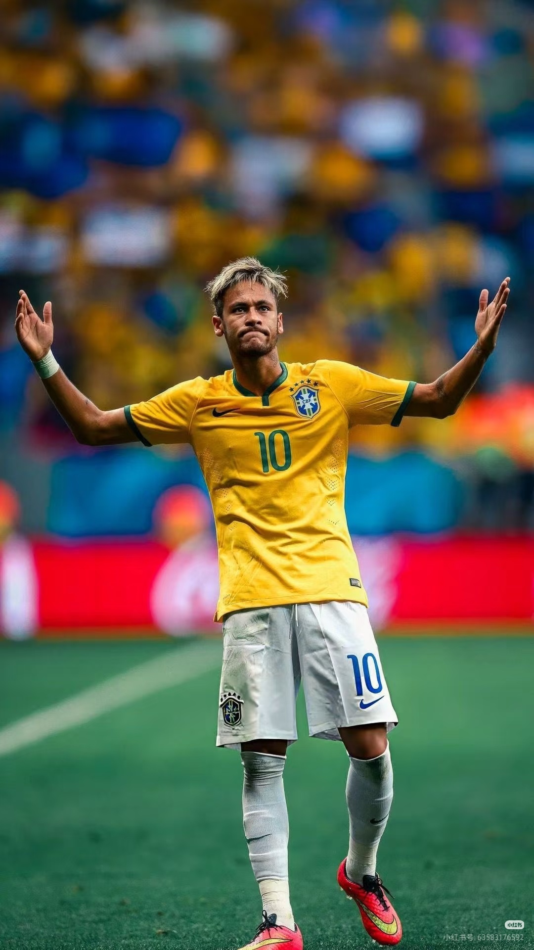 内马尔 巴西队魂